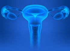 Гинекология